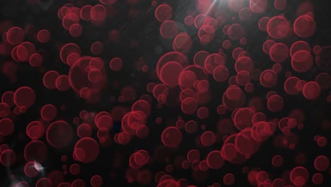 animated-red-bubbles