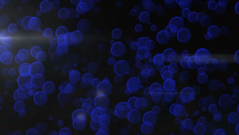 animated-blue-bubbles