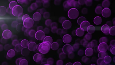 Animation-of-purple-bubbles