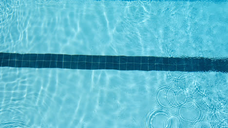 Nadador-Masculino-Nadando-Dentro-De-La-Piscina-4k