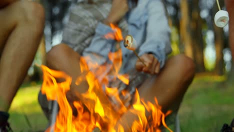 Woman-roasting-marshmallow-on-campfire-4k