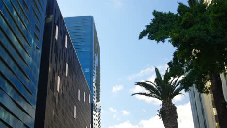 Low-angle-view-of-office-building-and-tree-4k