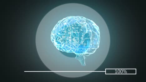 3D-Darstellung-Des-Menschlichen-Gehirns