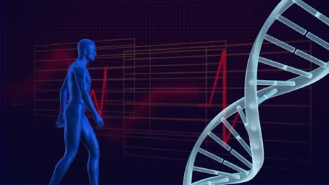 Holographic-man-walking-towards-a-DNA-molecule-against-an-electrocardiogram-background