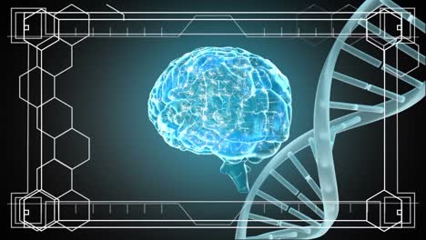 DNA-Und-Gehirn-Rotieren