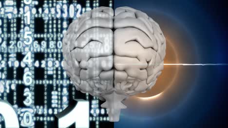 Cerebro-Blanco-Con-Círculo-De-Luz-Brillante-Y-Números-Digitales
