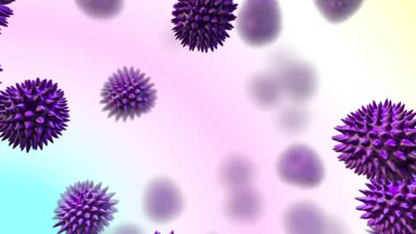 Purple-virus-moving