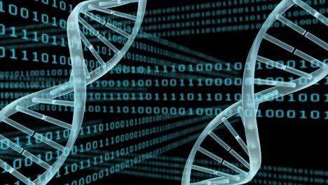 Spinning-DNA-against-binary-codes-and-black-background
