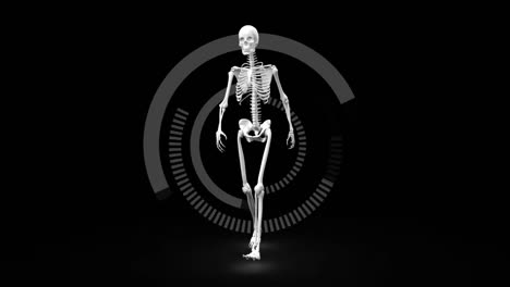 Digitales-Skelett,-Das-Vor-Dunklem-Hintergrund-Läuft