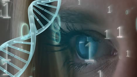 Blaues-Auge,-Umgeben-Von-Binärcode-Und-Sich-Drehender-DNA-Helix