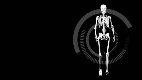Menschliches-Skelett,-Das-Gegen-Das-Strahlen-Läuft