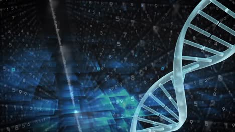 Spinnende-DNA-Vor-Binären-Codes-Im-Hintergrund