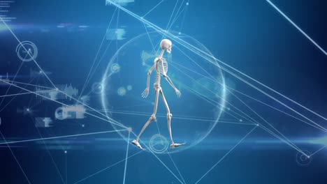 Digital-composite-of-a-human-skeleton-in-a-network-bubble