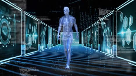 Digital-human-anatomy