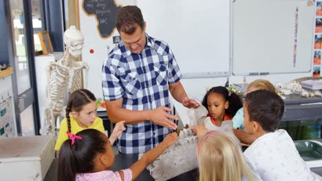 Front-view-of-Caucasian-male-teacher-explaining-animal-skeleton-model-in-the-classroom--4k
