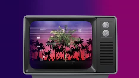 Retro-TV-showing-palms-trees-sizzling
