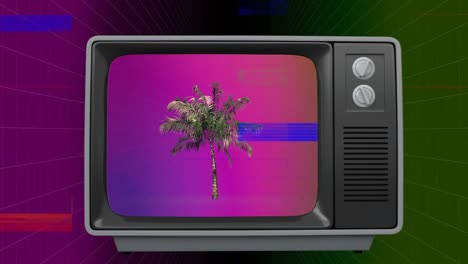 Retro-television-with-palm-tree-on-screen-with-sizzle