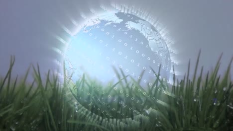 Digital-animation-of-a-globe-on-grass