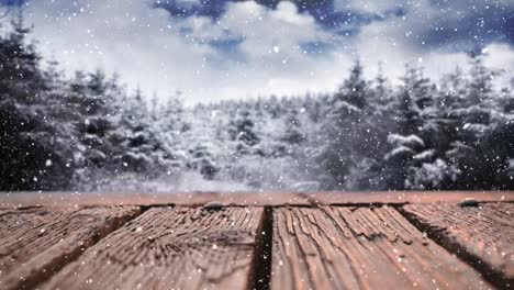 Wooden-deck-and-snowy-trees
