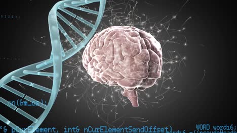 Digitales-Gehirn-Und-DNA-Helix