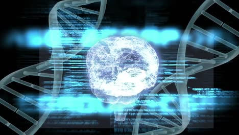 Digitaler-Verbund-Aus-Menschlichem-Gehirn-Und-DNA-Helix