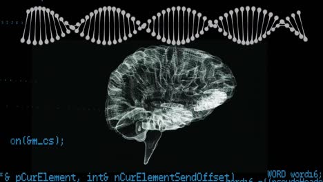 DNA-Helix-Und-Menschliches-Gehirn