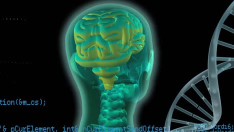Digitales-Gehirn-Und-DNA-Helix