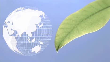 Digital-animation-of-a-rotating-globe-and-a-leaf