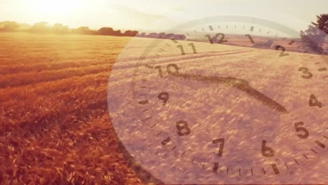 Wheat-fields-with-an-analogue-clock