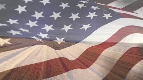 Agricultural-field-with-American-flag