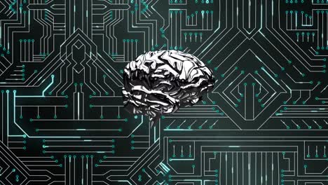 Brain-and-digital-circuit