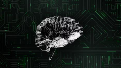 Digital-brain-and-circuit