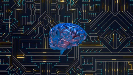 Brain-and-digital-circuit