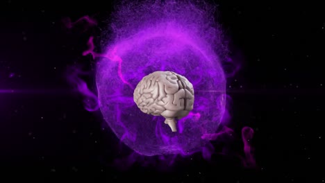 Animation-of-3d-metallic-human-brain-rotating-over-glowing-purple-globe-on-black-background