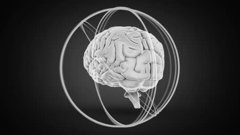 Animation-of-3d-human-brain-rotating-on-black-background.-
