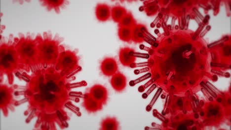 Animation-Von-Makroroten-Coronavirus-Zellen,-Die-Auf-Weißem-Hintergrund-Fließen-Und-Sich-Ausbreiten
