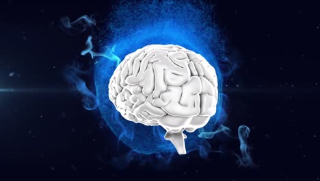 Animation-of-3d-human-brain-rotating-over-glowing-blue-globe-on-black-background