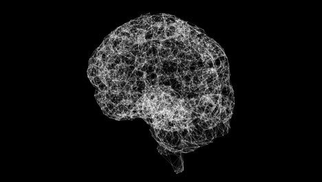 Cerebro-Humano-3D-Girando-Sobre-Fondo-Negro