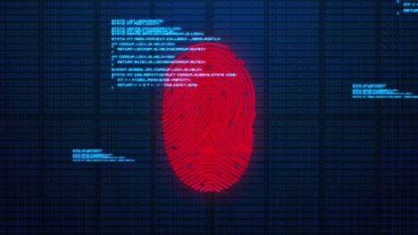 Animation-of-digital-biometric-fingerprint-computer-interface-icon-and-data-processing-on-blue-backg