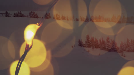Animation-Von-Lichtflecken-über-Einer-Winterlandschaft-Mit-Tannen