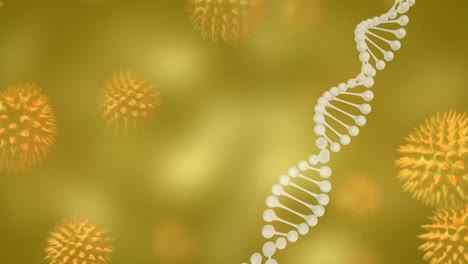 Animation-of-dna-strand-over-3d-covid-19-cells-floating-on-green-background