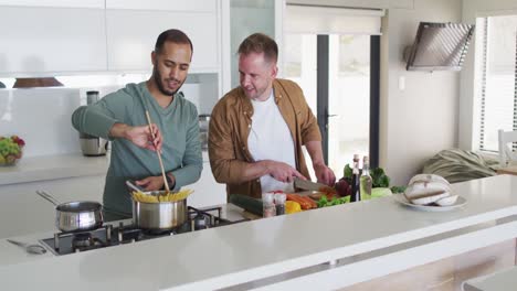 Multi-ethnic-gay-male-couple-preparing-food-in-kitchen