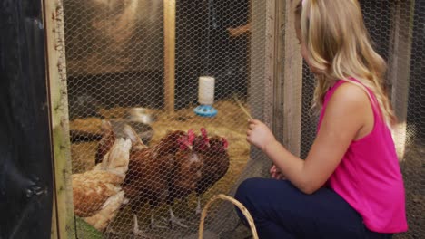 Happy-caucasian-girl-playing-with-hens,-kneeling-by-hen-house-in-garden