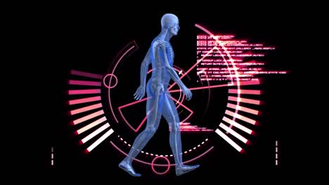 Digitale-Animation-Eines-Menschlichen-Körpermodells,-Das-Gegen-Einen-Runden-Scanner-Läuft,-Und-Datenverarbeitung