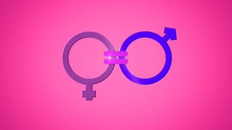 Animation-of-pink-and-blue-male-and-female-gender-symbols-joined-by-equals-sign,-on-pink
