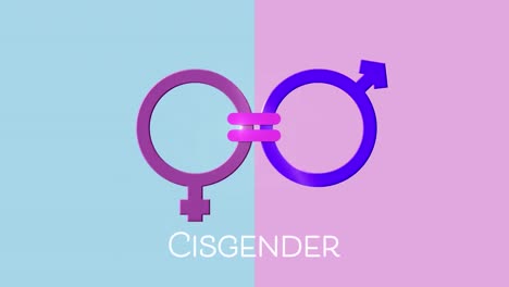 Animation-of-text-cisgender,-male-and-female-gender-symbols-joined-by-equals-sign,-on-pink-and-blue