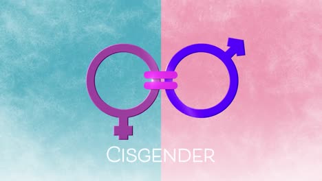 Animation-of-text-cisgender,-female-and-male-gender-symbol-linked-by-equals-sign,-on-blue-and-pink