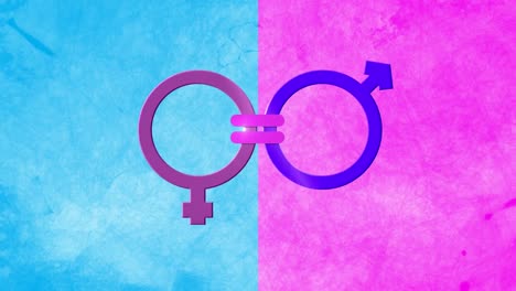 Animation-of-male-and-female-gender-symbols-joined-by-equals-sign,-on-pink-and-blue