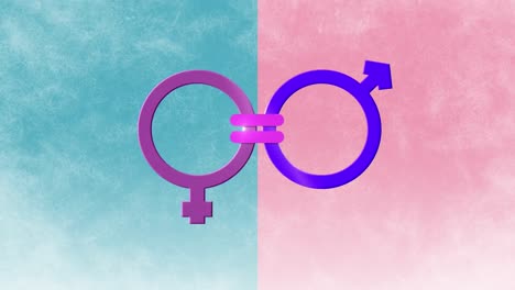 Animation-of-male-and-female-gender-symbols-joined-by-equals-sign,-on-pink-and-blue