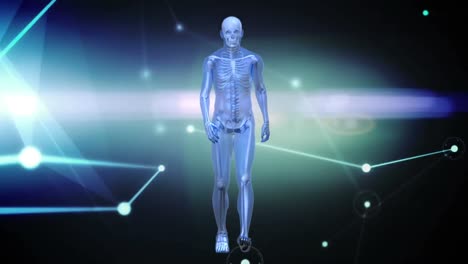 Animation-of-walking-xray-human-figure-over-glowing-network-of-connections-and-lights-on-black